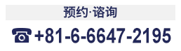 06-6647-2195